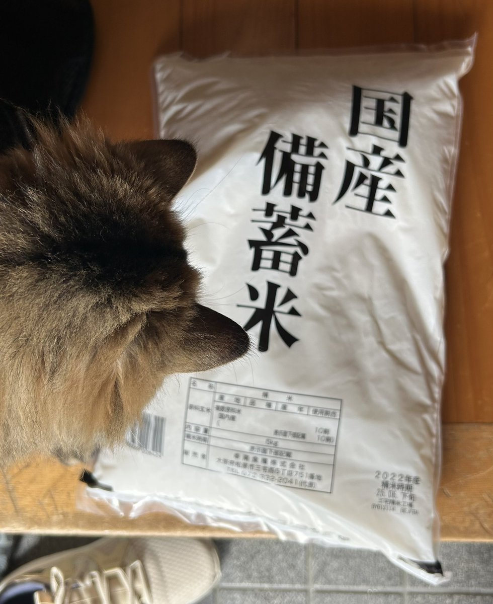 ハイビスカスが２つ同時に咲きました。ゴージャスですが夜には萎んでしまう儚い花🌺
そしてついに入手！
🎵ビチビチビチビチ備蓄米〜🎵