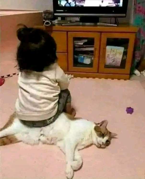 ما يتحملك إلا من يحبك بصدق:

#علمنى_ربي