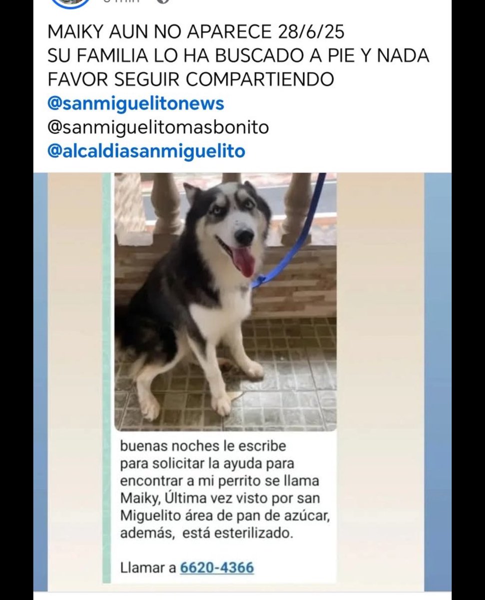 MAIKY SE HA PERDIDO
AYUDÉMOSLE A REGRESAR A CASA!!
FAVOR COMPARTIR 🙏🏽🙏🏽🙏🏽