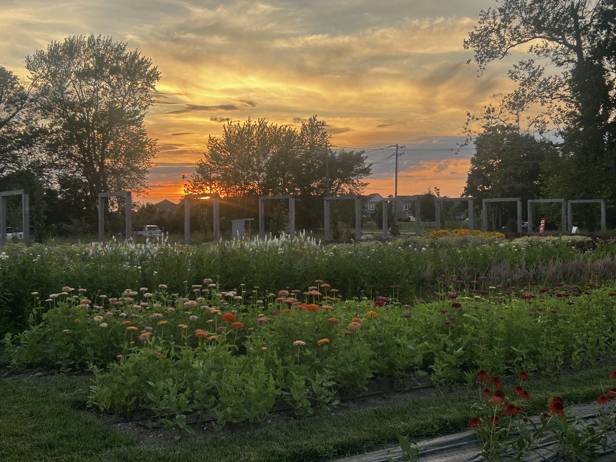 JenniferMlott's tweet image. I absolutely loved singing yesterday at the Bloomery Sweet Peas Flower Farm !! The field of flowers was absolutely gorgeous and the people were so fantastic! Here’s a few photos that I took of the flowers! Hope you enjoy ! #jennifermlottmusic