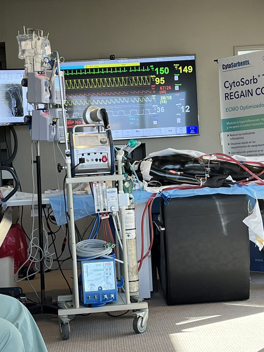 Maximiliano Hernandez (@max_hernandez26) on Twitter photo Junto con el equipo del INCC tuvimos el privilegio de participar del Curso intensivo de ECMO venoarterial organizado por <a href="/ICBAonline/">ICBA Instituto Cardiovascular</a>. Una experiencia formativa de alto nivel muy enriquecedora. Gracias a todo el staff y en especial a <a href="/leonardo_seoane/">Leonardo Seoane</a> por la disposición y el apoyo Junto con el equipo del INCC tuvimos el privilegio de participar del Curso intensivo de ECMO venoarterial organizado por <a href="/ICBAonline/">ICBA Instituto Cardiovascular</a>. Una experiencia formativa de alto nivel muy enriquecedora. Gracias a todo el staff y en especial a <a href="/leonardo_seoane/">Leonardo Seoane</a> por la disposición y el apoyo