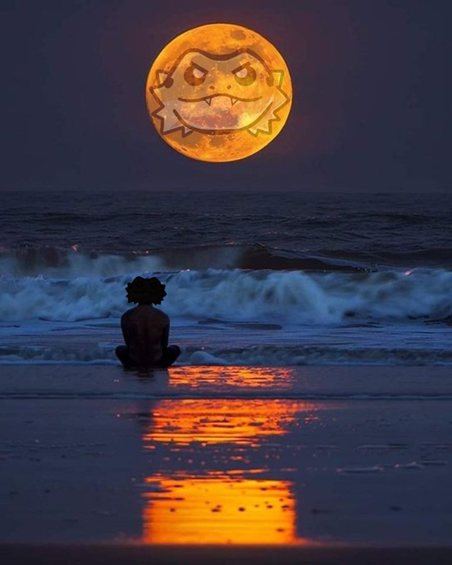 Bearded Dragon (@beardy_eth) on Twitter photo 