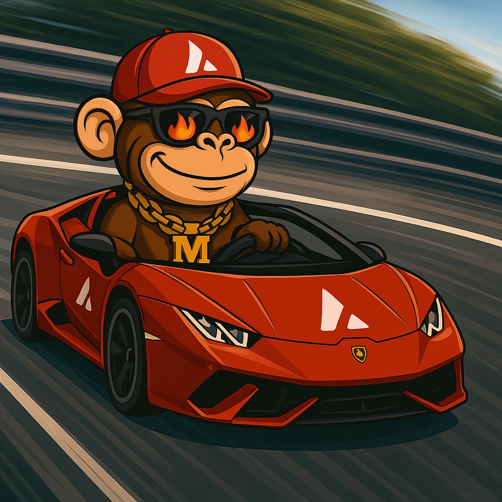 lilmunyavax's tweet image. Just $MUNY in a $LAMBO

No brakes. 🐒💸