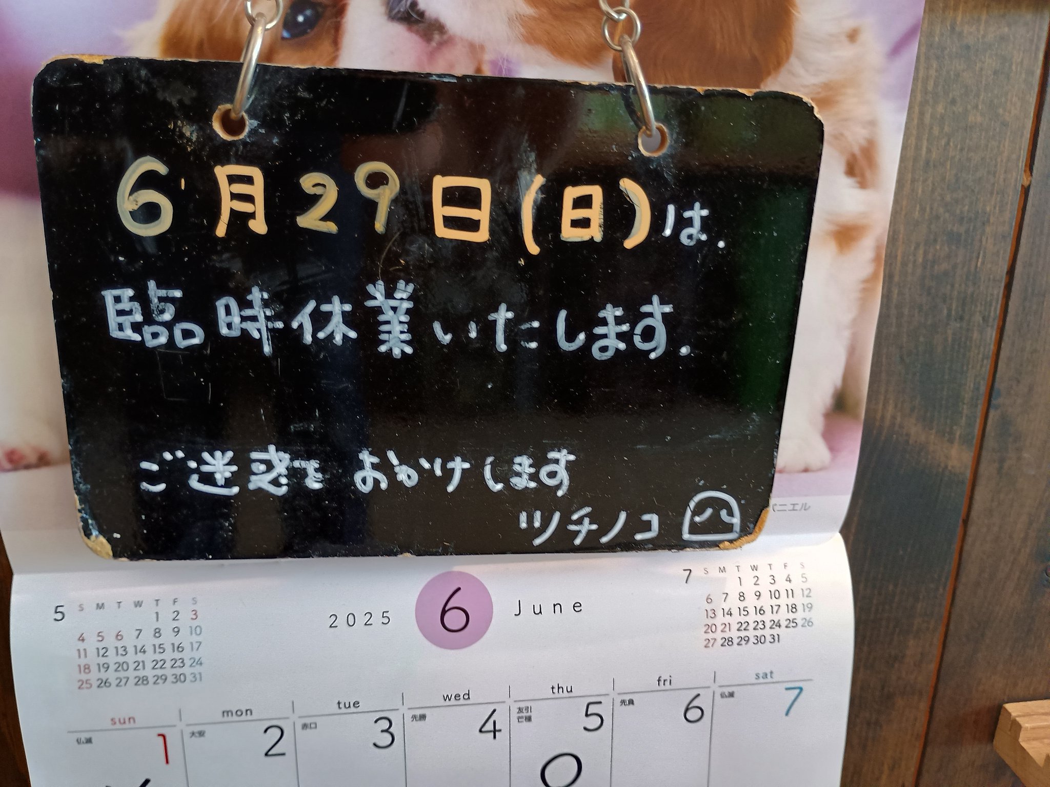 花(3/26～3/29は発送お休み) 八百屋cafeツチノコ on X: 