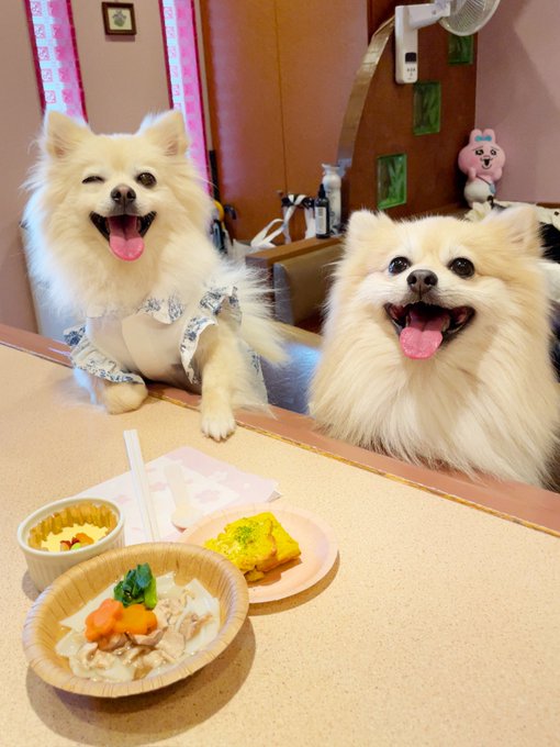 Twitterのコスプレ画像26