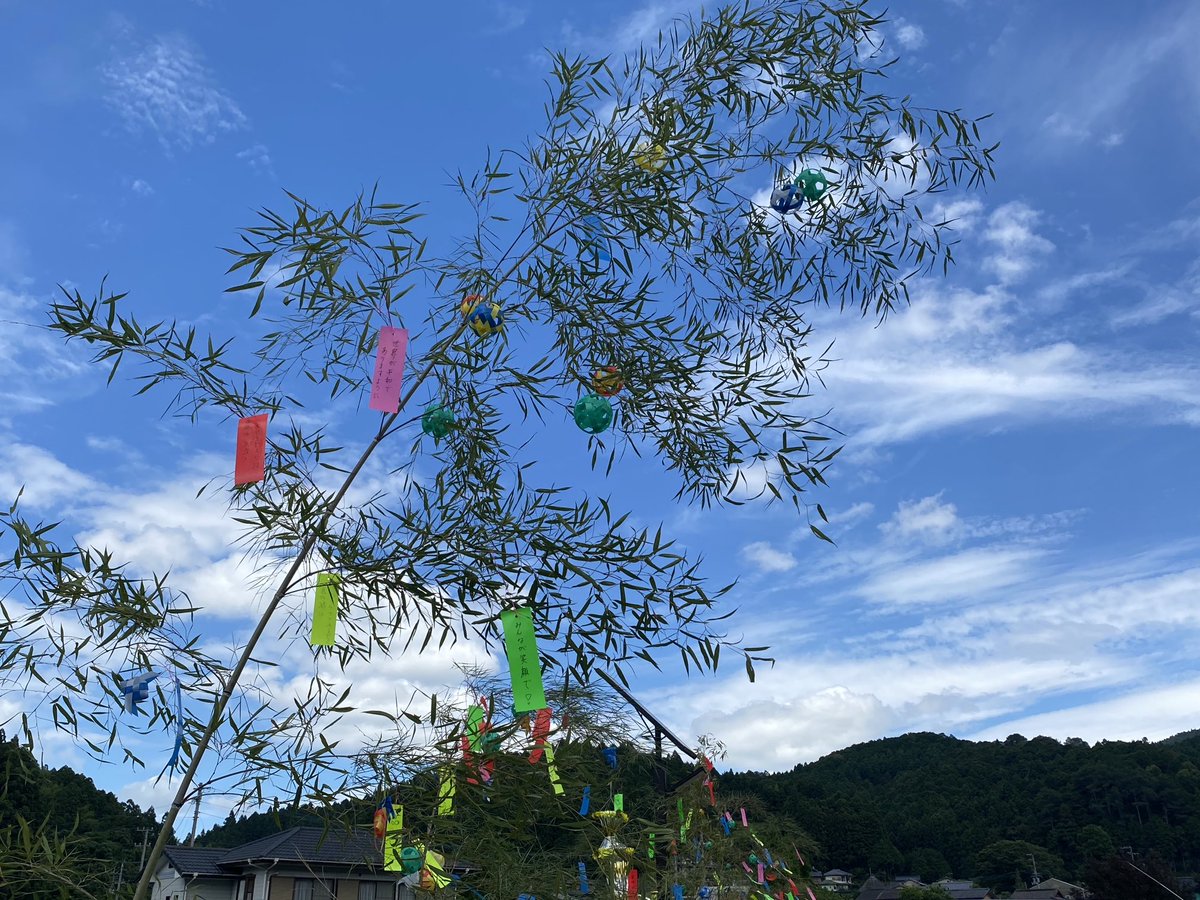 星にねがいを。
いくつになっても、織り姫さまの気持ちがよみがえる。
わが町の七夕飾り