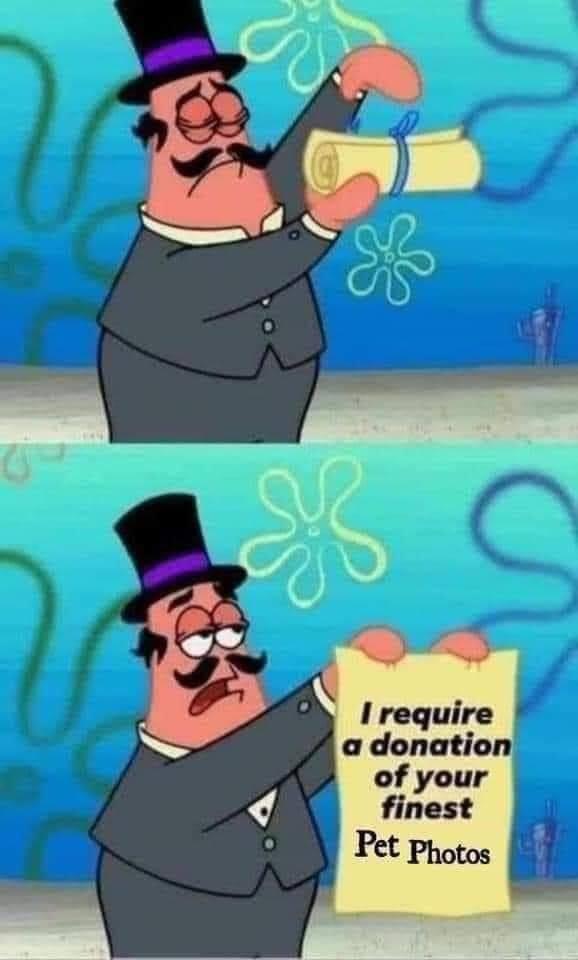 WholesomeMemes tweet media