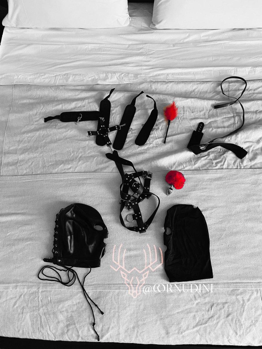 Cornudini (@cornudini) on Twitter photo Se viene un encuentro máscara vs máscara… a quien le van?
En una esquina la súper sensual <a href="/jessica_hotwife/">Jessica♠️Hotwife</a>
Y en la otra el incansable <a href="/ribersoniko/">Ricardo_GDL</a>
Saquen sus apuestas!!!
#cuckold
#bdsmnights Se viene un encuentro máscara vs máscara… a quien le van?
En una esquina la súper sensual <a href="/jessica_hotwife/">Jessica♠️Hotwife</a>
Y en la otra el incansable <a href="/ribersoniko/">Ricardo_GDL</a>
Saquen sus apuestas!!!
#cuckold
#bdsmnights