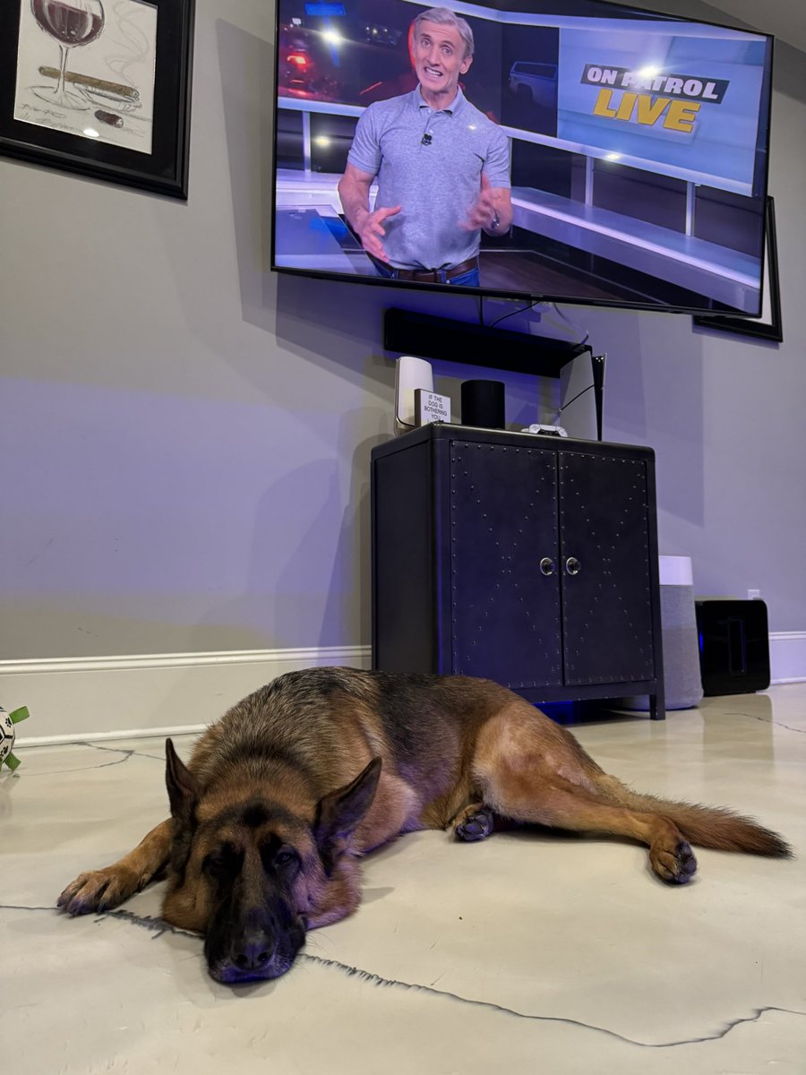 #OPNATION #Reelz #OPLive #OnPatrolLive <a href="/OfficialOPLive/">On Patrol: Live</a> <a href="/OnPatrolLive/">On Patrol: Live • Community</a> <a href="/ReelzChannel/">REELZ</a> #OnPatrolFirstShift Schwarber is ON PATROL.