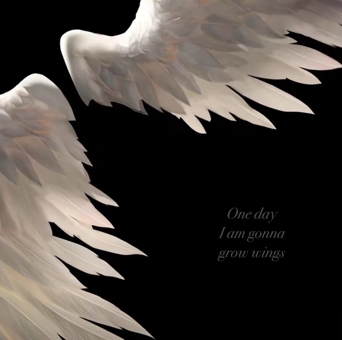 httpslowkeyang's tweet image. pinned ! 

⋆˚𝜗𝜚˚⋆ aidan or angel , minor , dni darkship 

✮⋆˙ #bsdtwt #alnsttwt #arcanetwt #hxhtwt #cherrycrushtwt #booktwt #promotwt