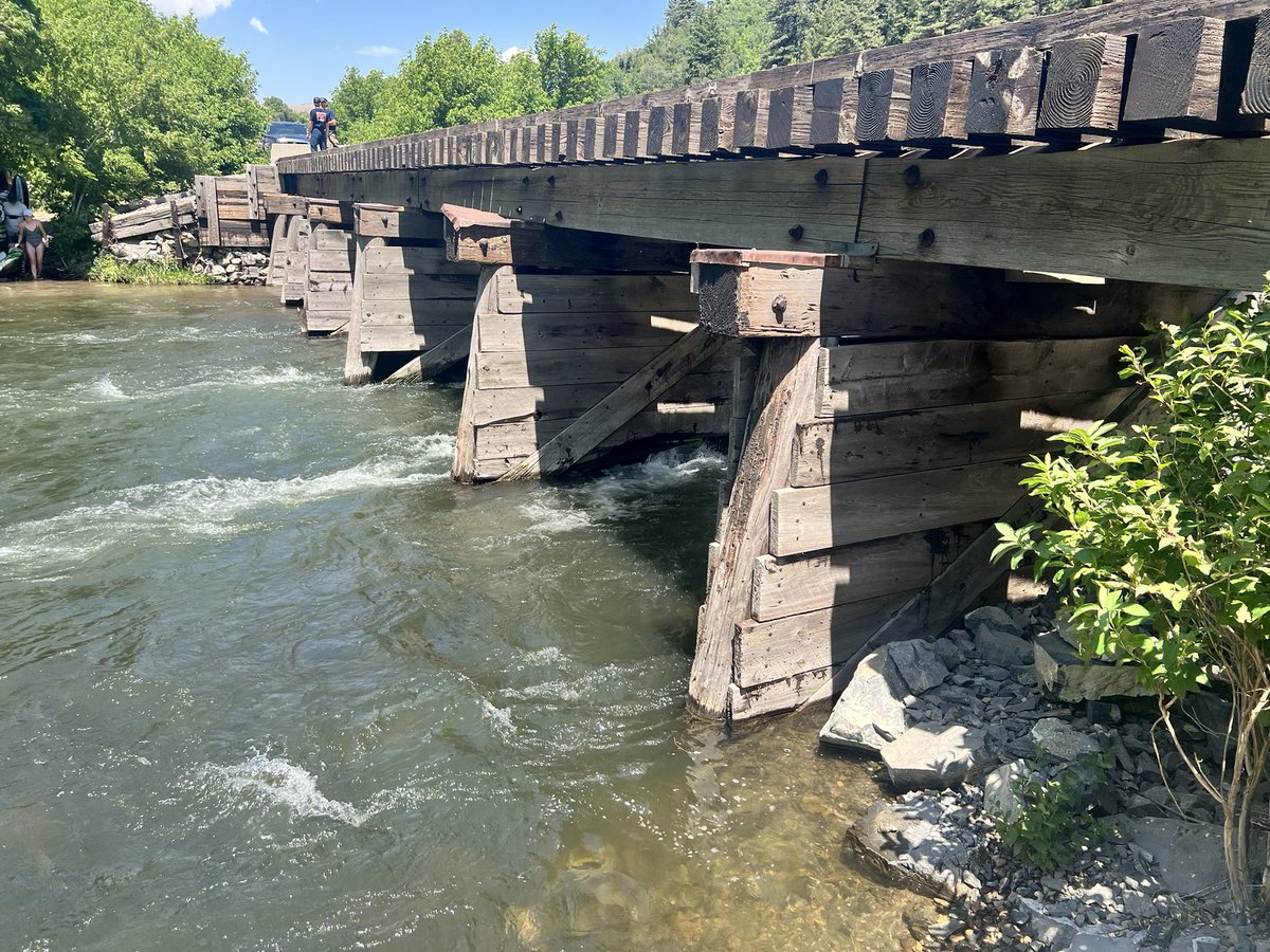 kirk livingstone 🦮 tweet media