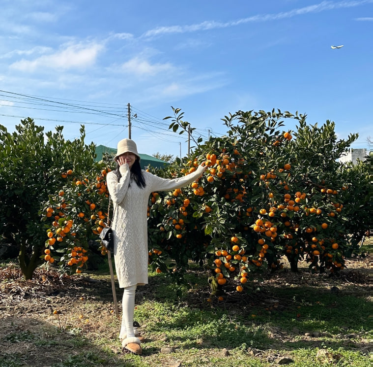 Fairy Jolene (@fairy_jole50440) on Twitter photo 