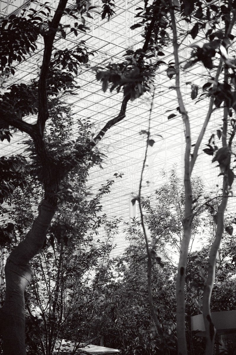 重なって溶けあう