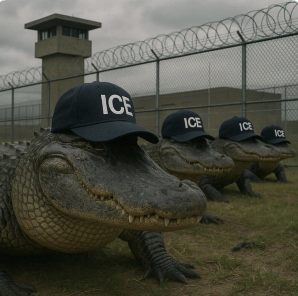 Coming soon to the Florida Everglades.