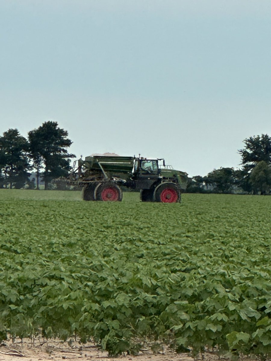 Robert Templeton tweet media