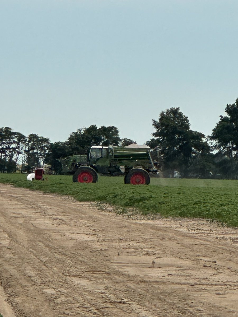 Robert Templeton tweet media