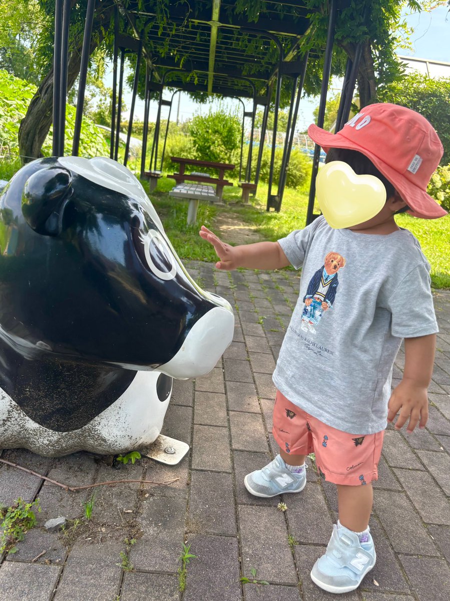 息子は黄色がよく似合うと思ってるんだけど、オレンジもかわいい〜〜🍊🤍