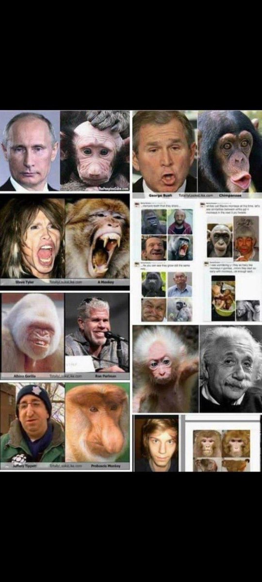 jkareem1111's tweet photo. @SignumAstralis @Anthony79133256 @jimbrow20357588 @TM1_27 @YAHFFSHUA2077 @B1TuckerCarlson https://t.co/SusJqv6K80