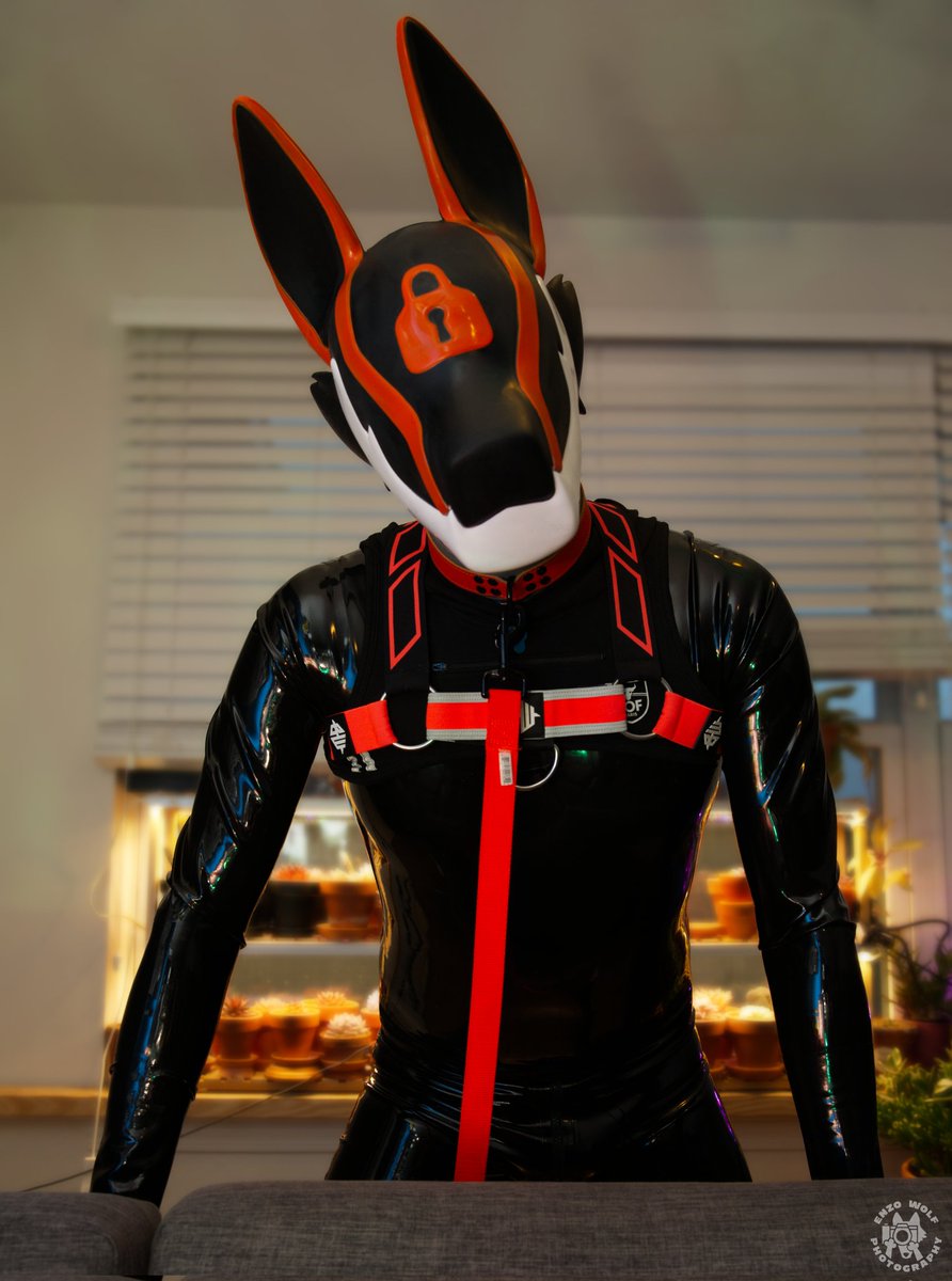 ⚠️ Hazard ⚠️ ➡️ FWA 2026 tweet media