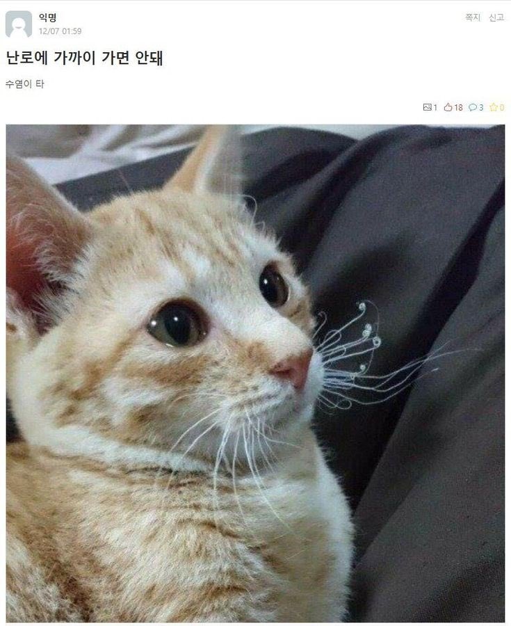 내좋짤 (@zazazazaz_) on Twitter photo 