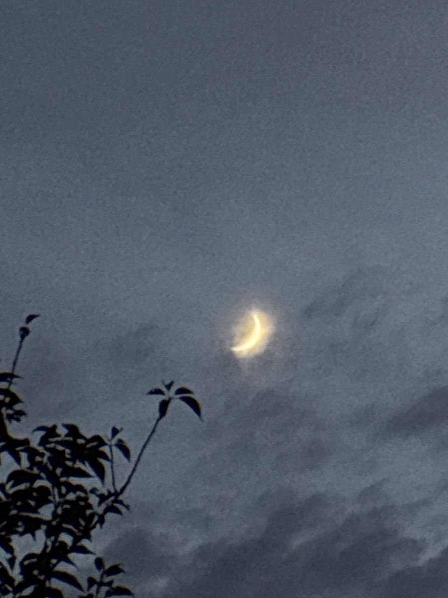 TerrenceBrownJ4's tweet image. PERO QUE LUNA PRECIOSA 💔
