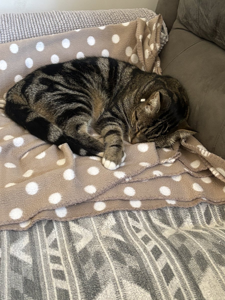 Tomtom Sunday vibes.