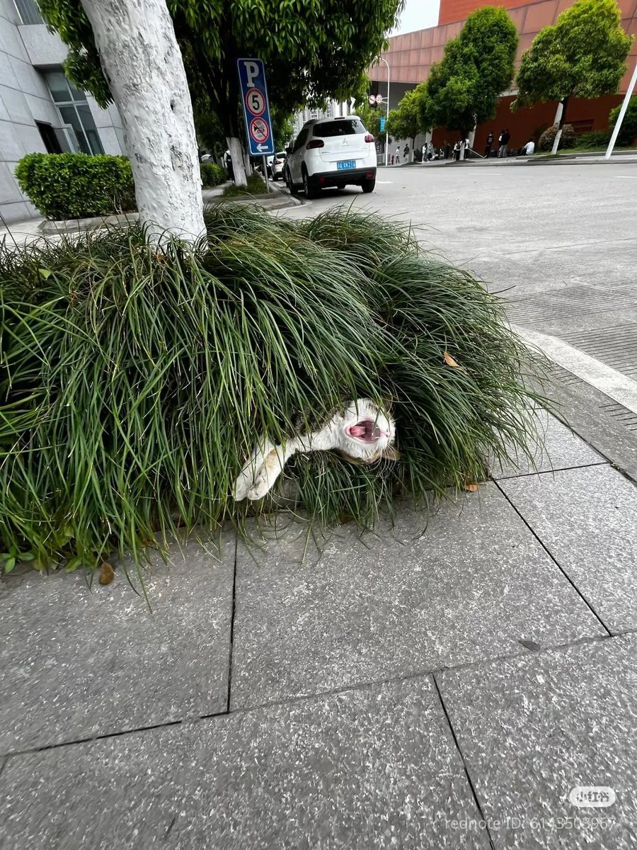 AAAAAAAAAAAAAAAAAAAAAA