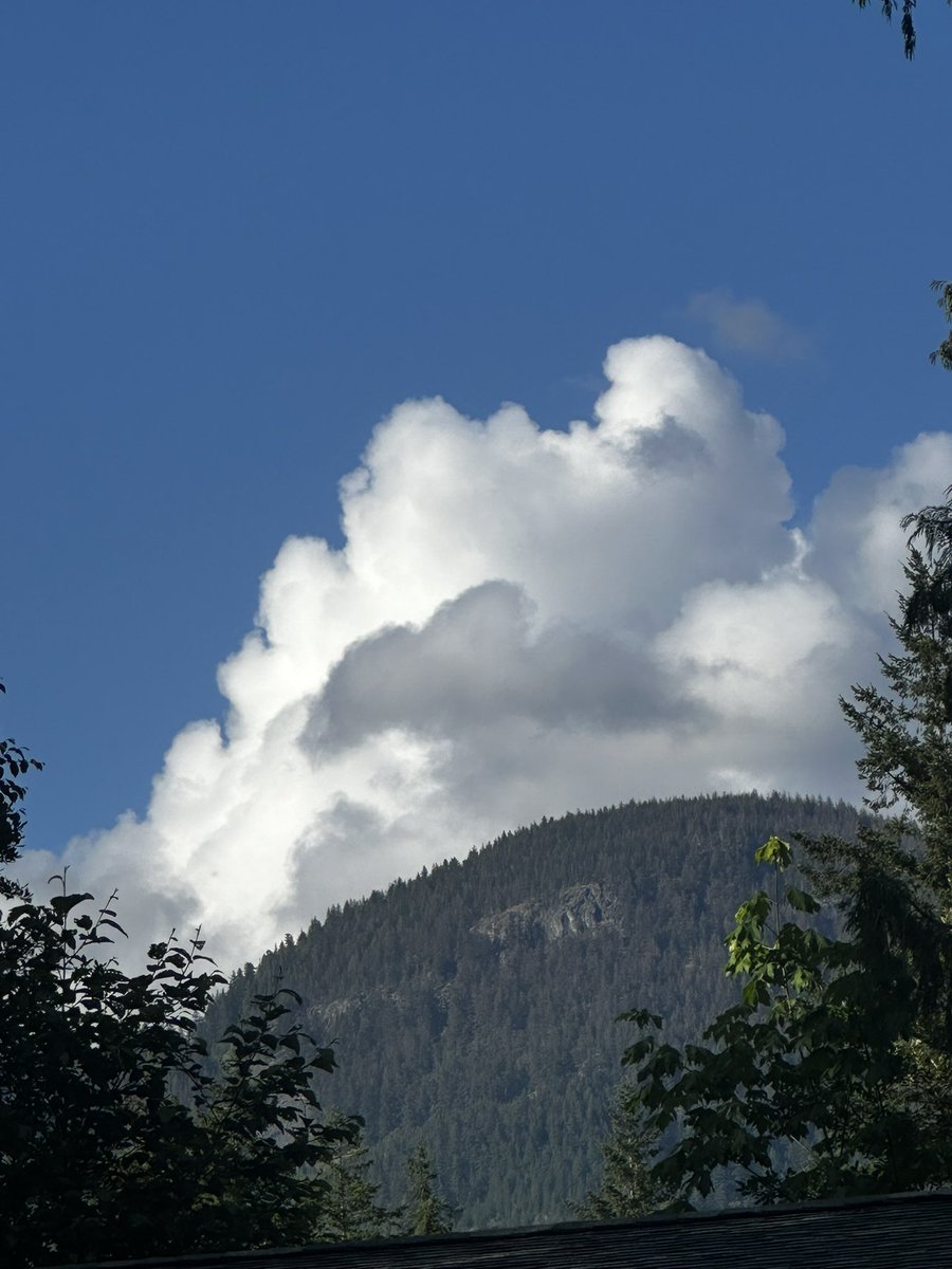 paul_siddaway's tweet image. Looks like a Chicken cloud … and I haven’t taken any mind altering substances ☺️