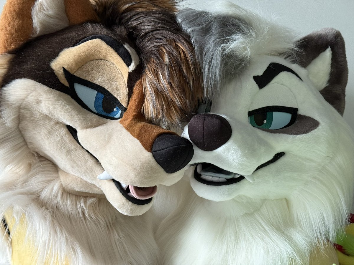 ThatsFurredUp's tweet image. “and they were roommates”
Fine more photos of these guys on bsky or my telegram channel (in pinned tweet)