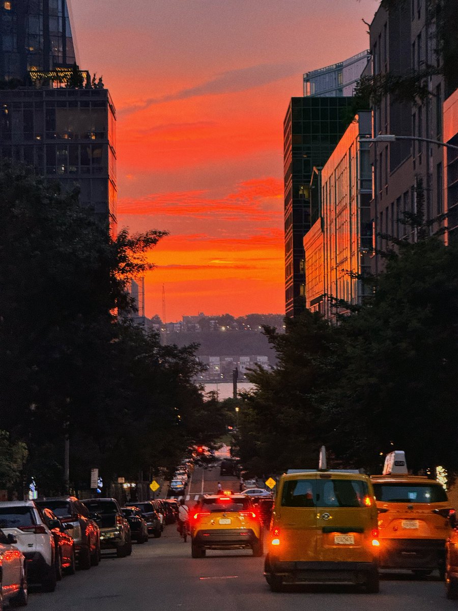 Amra Olević Reyes (@amrezy) on Twitter photo 