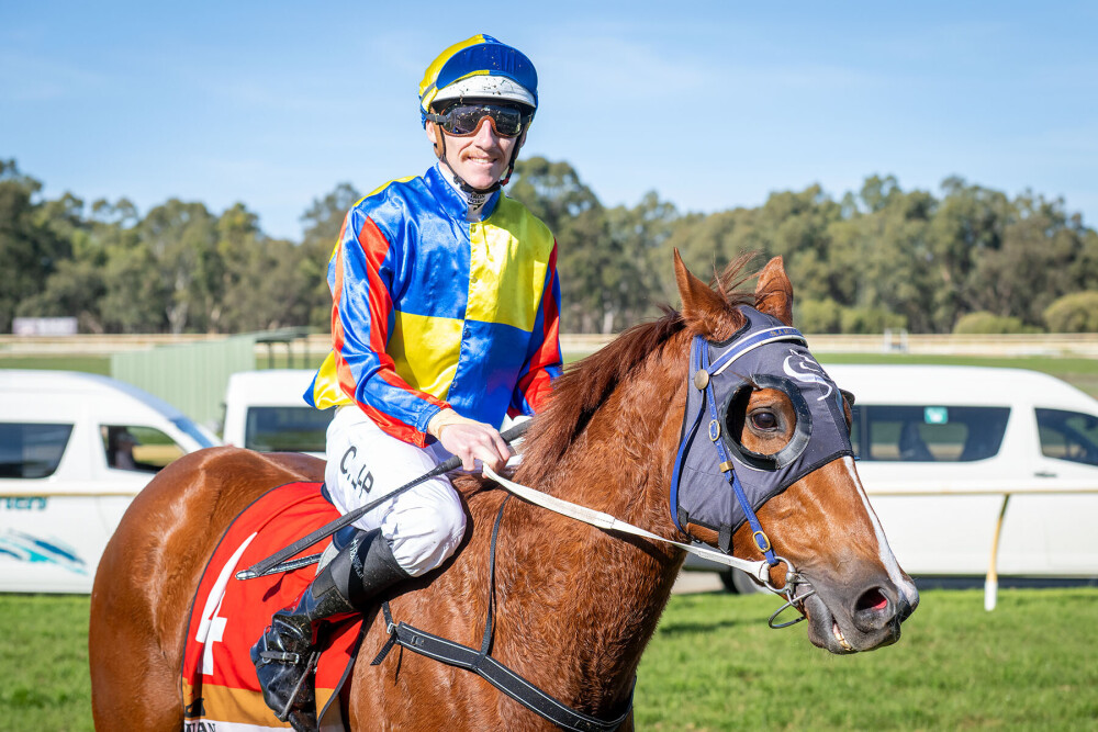 Mardusa looked like a coiled spring under CJP who burst the short-priced favourite to the front down the straight and eased down to a comfortable victory.

The 2yo gldg has won both starts this preparation under Clint who had a spectacular day in the saddle.

#SimonMillerRacing