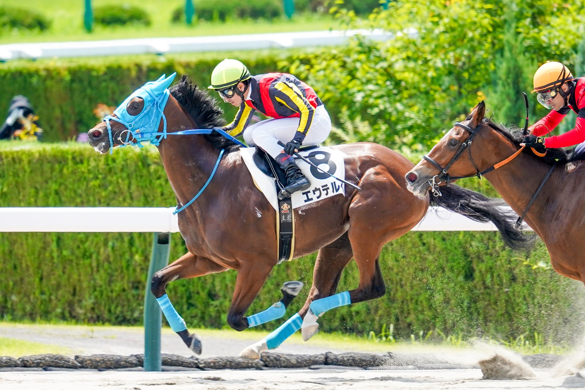 JRA必勝バイブル 奥村俊一の競馬赤本 希少本 売れ筋ランキングも JRA必勝バイブル 希少本 奥村俊一の競馬赤本