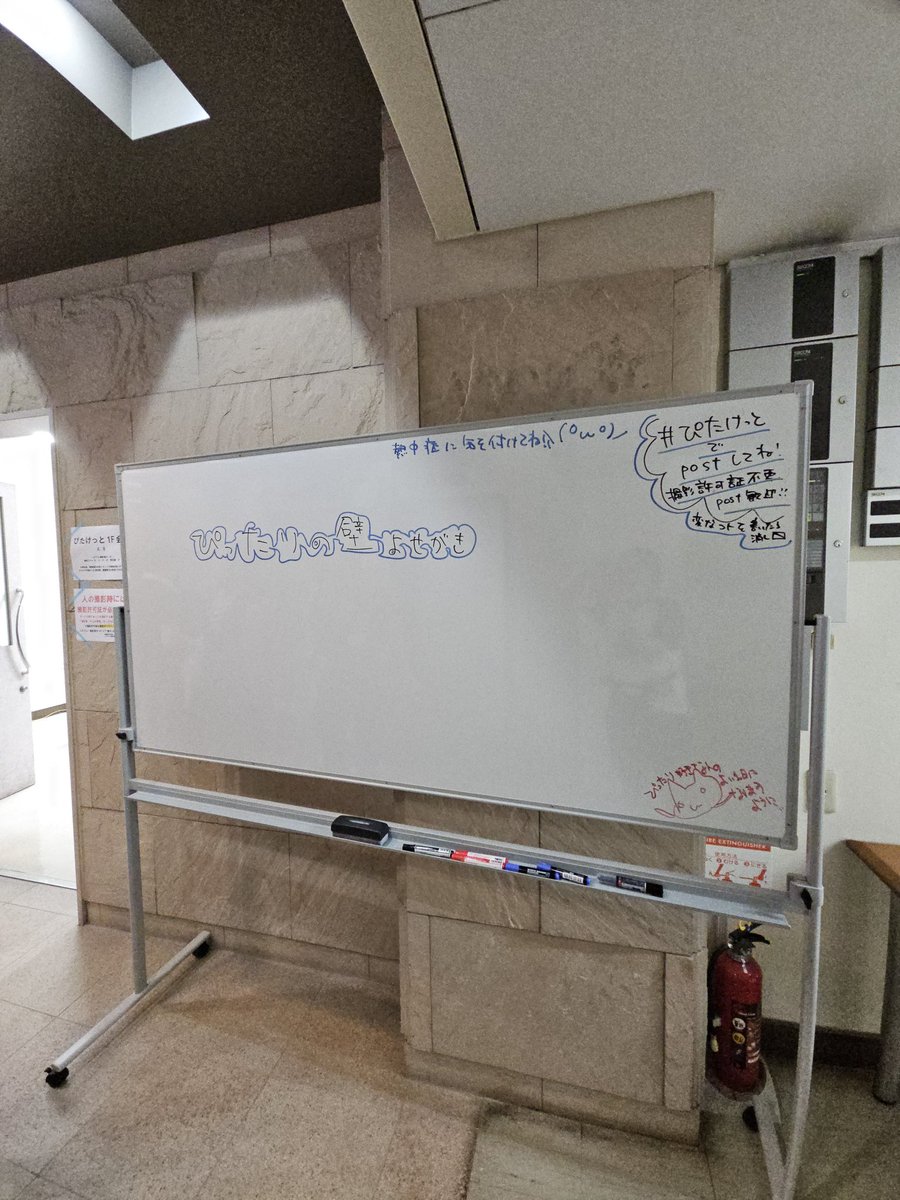 pitaket's tweet image. 本日は1階にぴったりの壁(寄せ書き)を用意しております!是非ぴったり愛を描いていってくださいねっ
※このボードについては撮影許可証なしで撮影オッケーです〇
#ぴたけっと