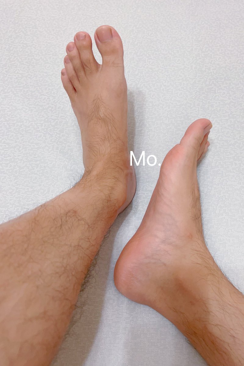 狗来伺候，擦皮鞋、洗脚