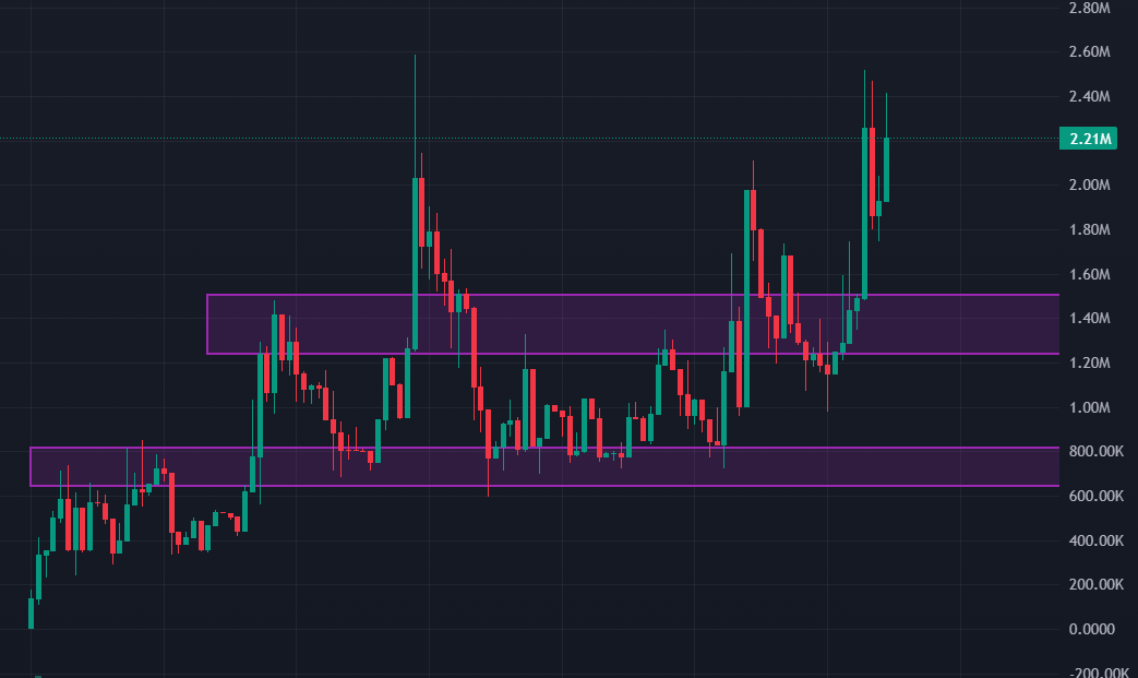 XNOKIA 🐶 🩻 tweet media