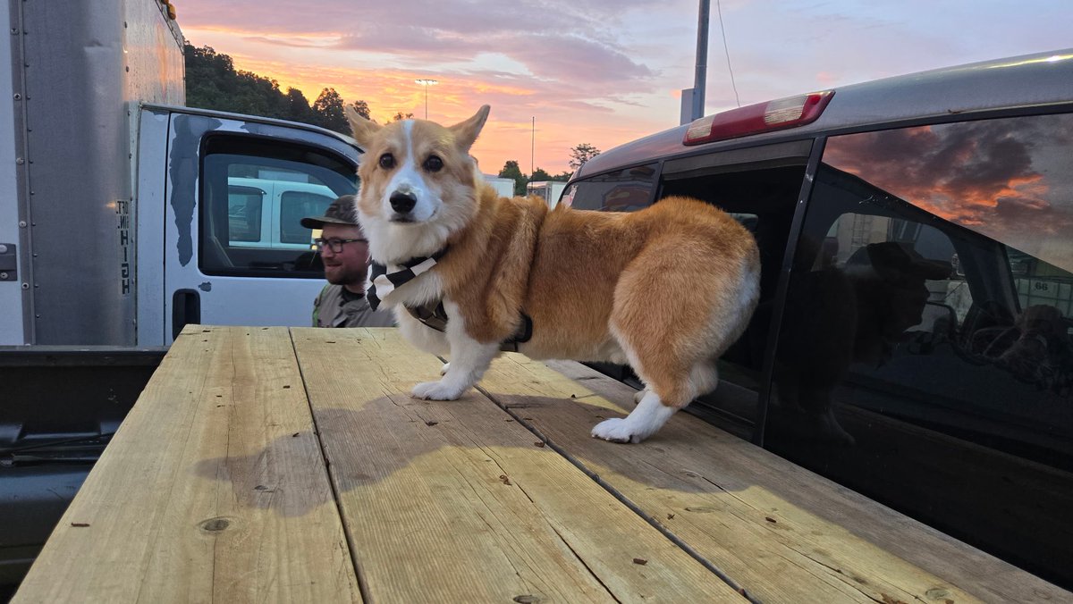 PushCorgi's tweet image. Did they say the heat race was complete or someone has a treat?! 🐾🧐