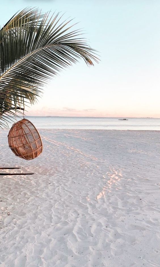 사주영 (@sjmnewf0b0ms02) on Twitter photo 