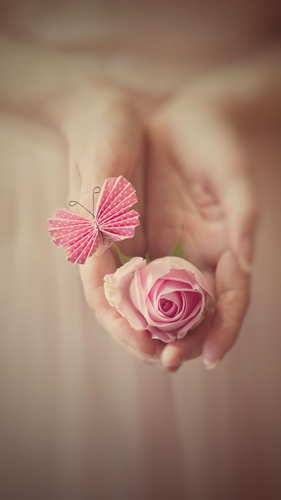 나비꿈 (@navikkum) on Twitter photo 