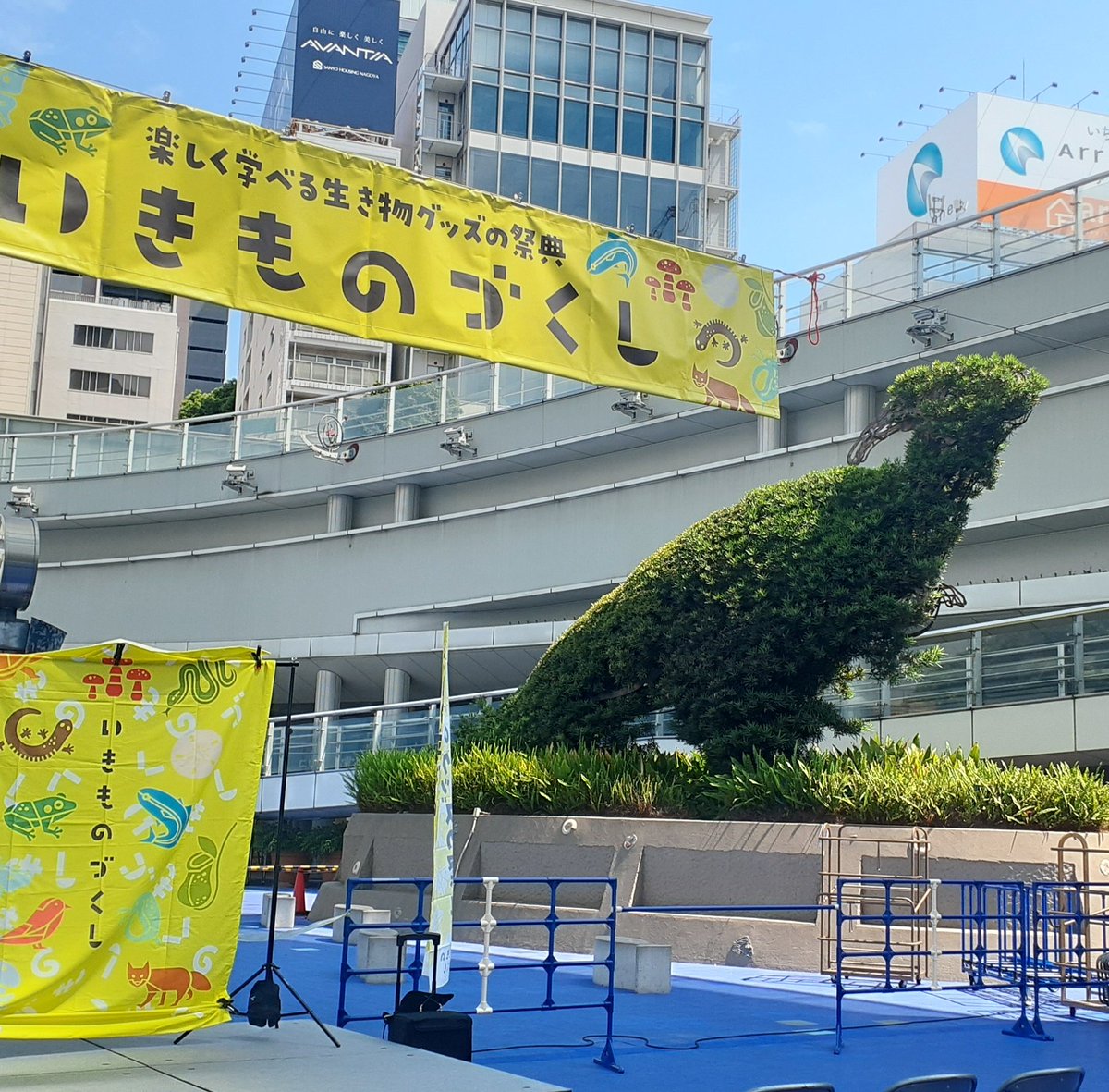 mitsurindow's tweet photo. 名古屋のど真ん中にパラサウロロフスがいた。イベントは今日まで！ https://t.co/bowVaTgAei