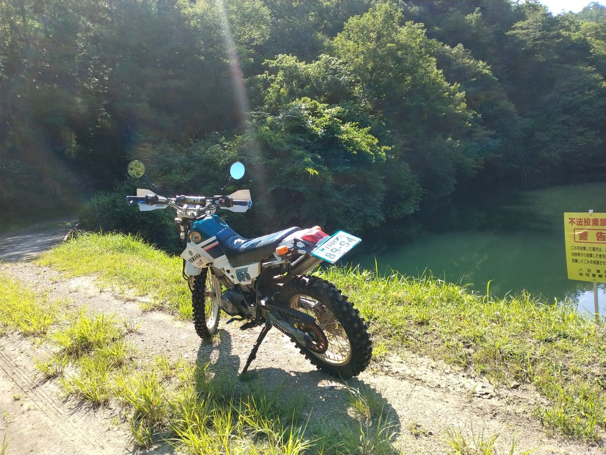 shu_serow's tweet photo. 交通事故で負傷してから久々のリハビリ林道！
早朝出発でいつもの表コースをのんびり流してる💨
まだちょっと足首痛いから裏コースはイケないなぁ⤵️
やっぱセローは山が似合う👍

暑くなる前に帰ろ🐸
#セロー225 https://t.co/Ceno0b15Yl