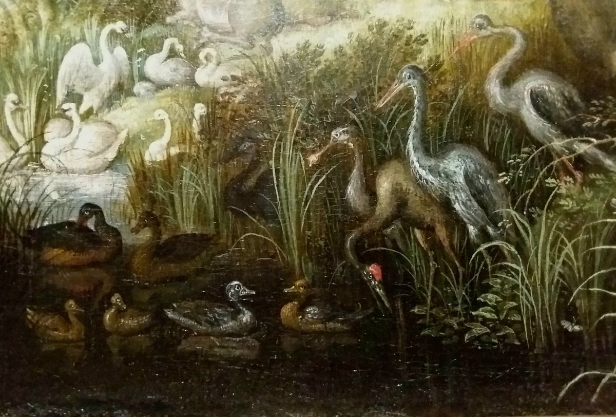 Raphael_BRIERE_'s tweet photo. Chercher Orphée. 

Ciel changeant, horizon obscurci, oiseaux migrateurs, mare surpeuplée, lions débonnaires, ...

1/3... https://t.co/bfJHFY8Ogf