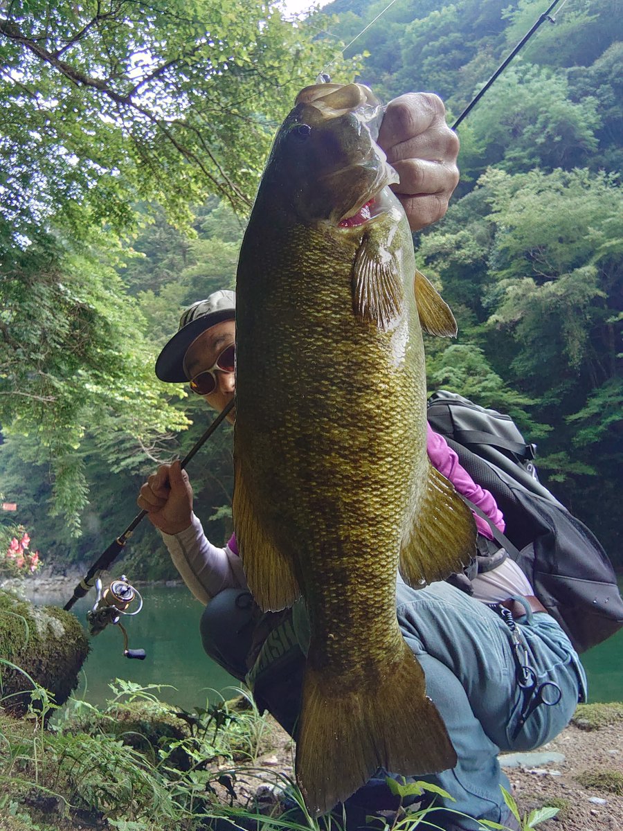 yunkerz1968's tweet photo. 久しぶりです。最近仕事が忙しく土日で働いたりしてまいした。そんな自分へのご褒美に125㏄バイク買いました。まー中古ですけどね。（グロムJC61後期）で、パックロッドも買って昨日久しぶりにそのバイクで釣りに行ってきました。♯釣りーング♯グロム♯JC61後期♯パックロッド　ヤエーしまくってます https://t.co/5KIbZnzIqU