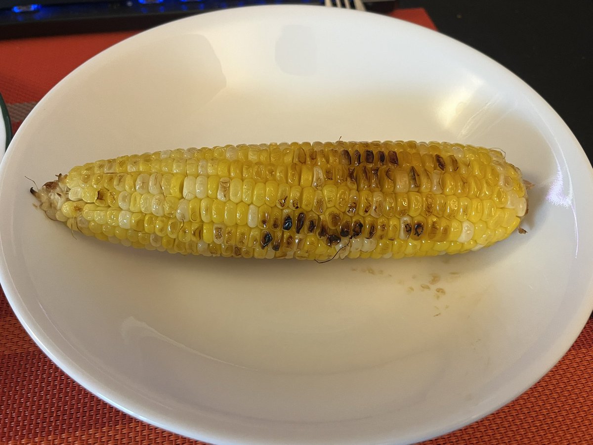 バーベキューはやはり良いです♪