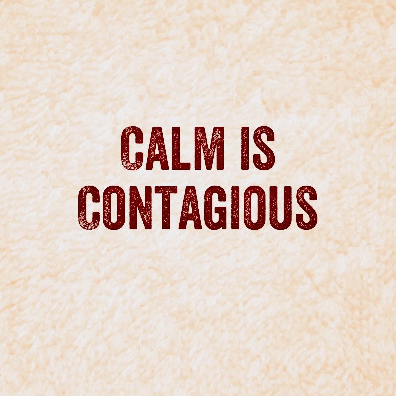 Beth O'Leary tweet media