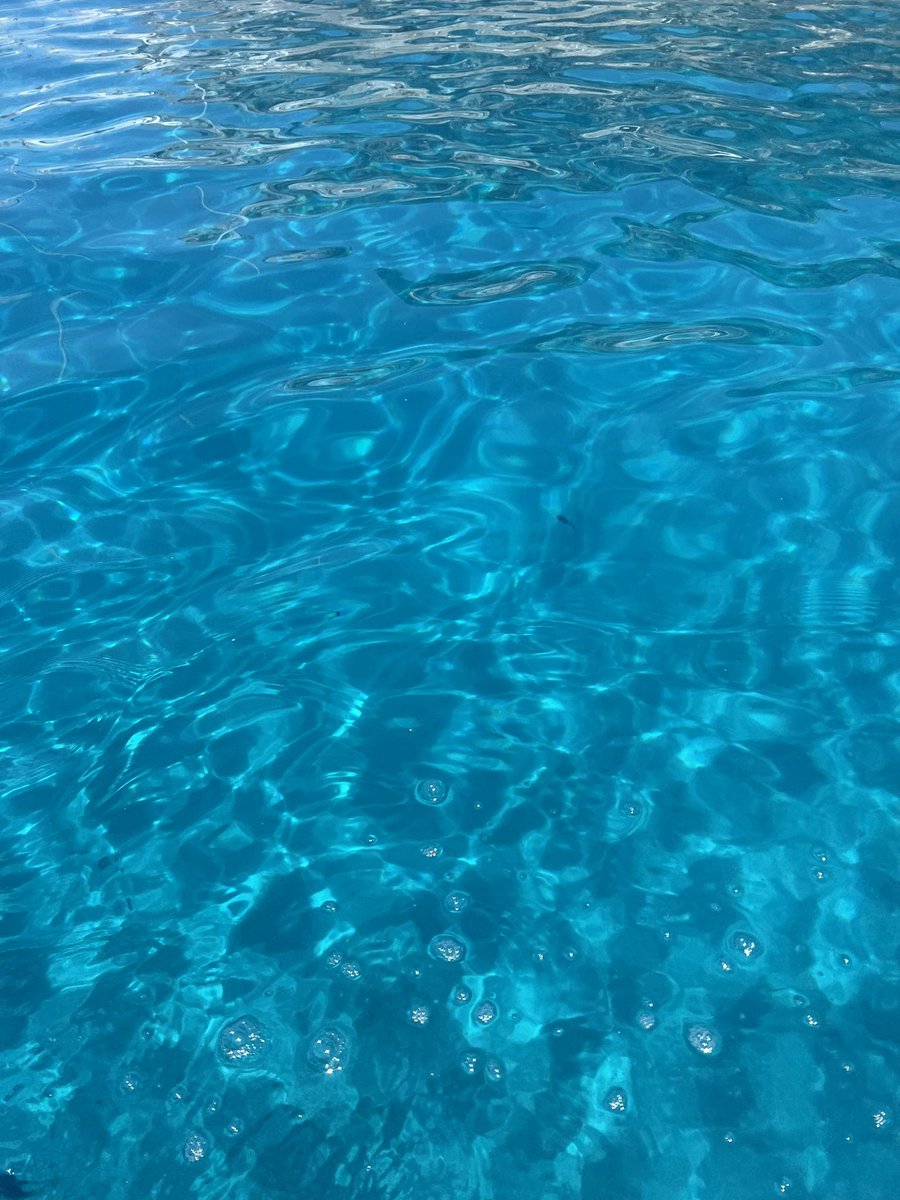 💙🐚🐠🪸🪼