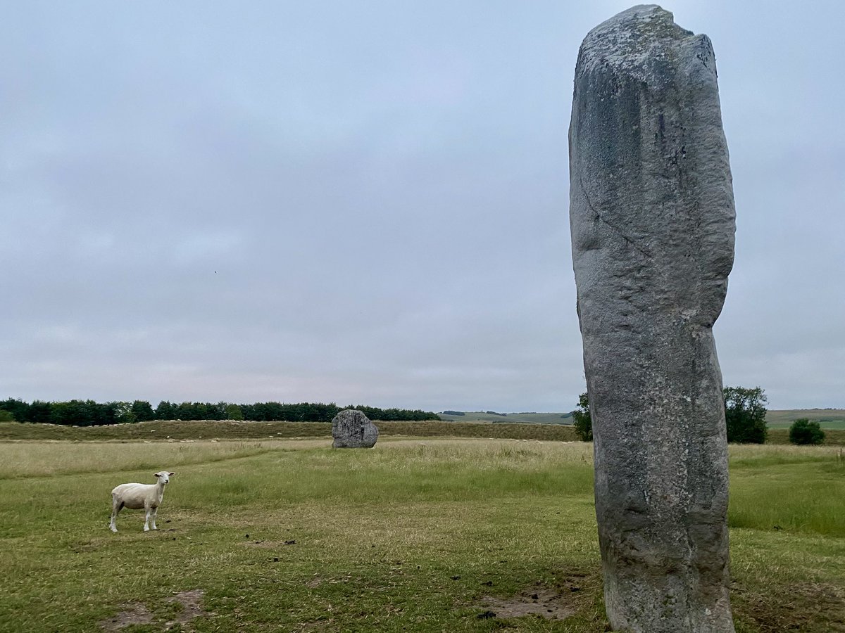Spiddly's tweet image. A dawn visit to Avebury, a week after the Summer Solstice. Not a soul in sight and fuelled by the biggest portable tanker of hot tea available to mankind
#StandingStoneSunday