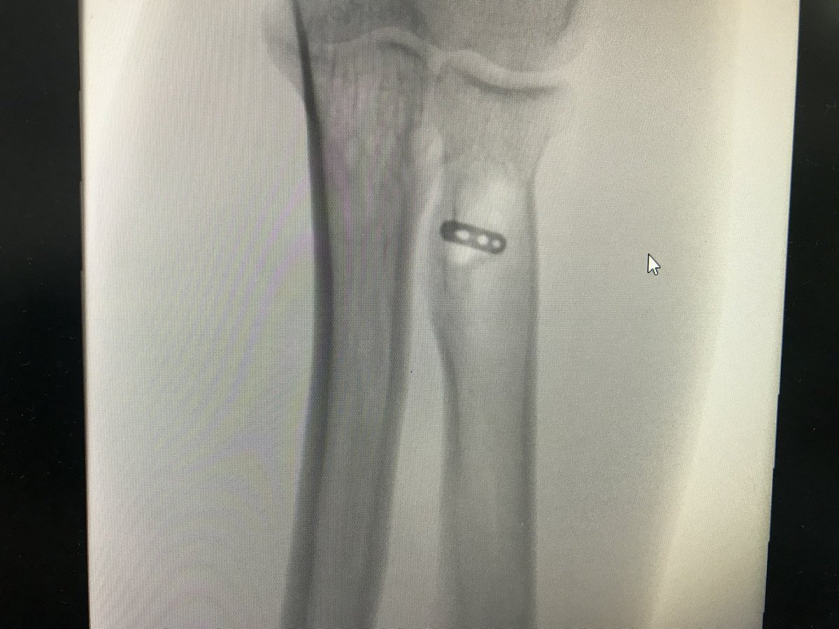 د. أحمد المري tweet media