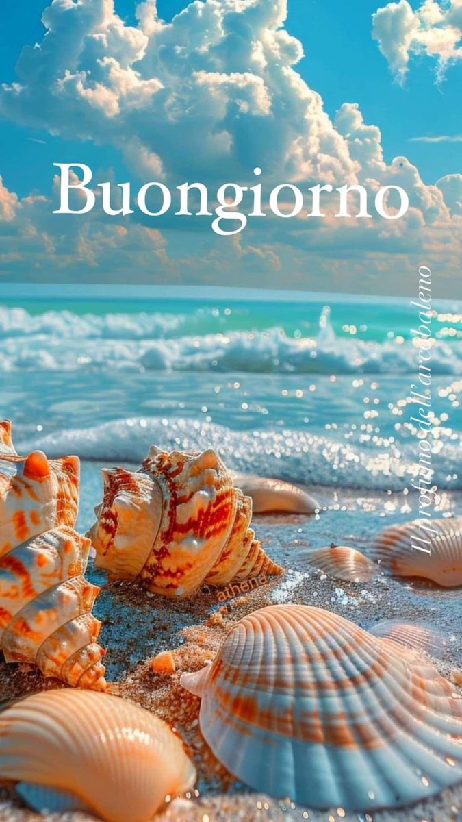 Splendida domenica