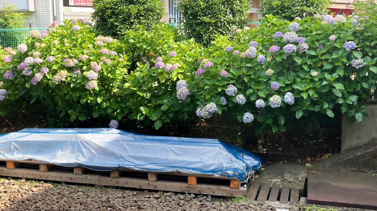 間違えて新代田向かってたけど、昨日推しが歌ってたありがとうごめんね聴きながら折り返し電車待つのも良い