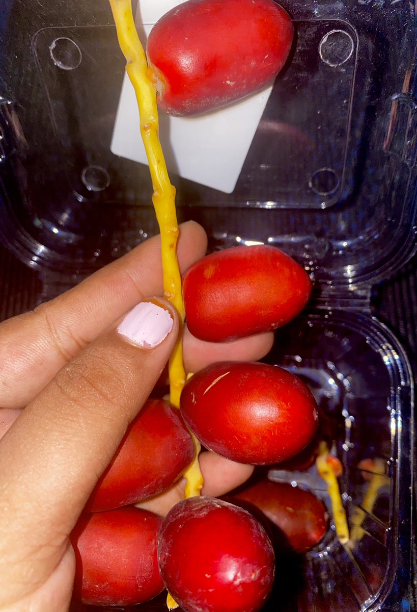 dirkowsalya's tweet photo. “My forever favorite—fresh red dates in season! ❤️🌴
#NatureCandy”
#FreshDates
250 gram -46rs https://t.co/UFjsqgliHH